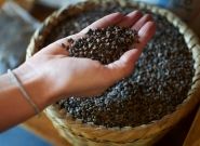 Цены на гречку и подсолнечное масло продолжают расти