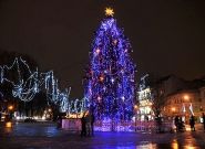 Во Львове зажгли новогоднюю елку