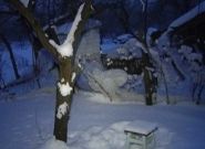 В Крыму 10-летний мальчик повесился после просмотра японского мультфильма-аниме