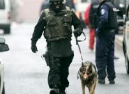 В США около начальной школы неизвестный открыл стрельбу