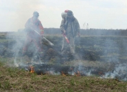 В Киевской области горят торфяники