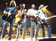 Status Quo заново запишут «In the Army Now»