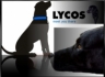 Индийская компания Ybrant Digital купила портал Lycos за 36 миллионов долларов