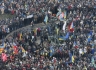 На Евромайдане будет установлена живая новогодняя елка.