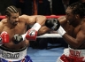 Дэвид Хэй защитил титул Чемпиона WBA