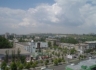 Повесился депутат бердянского городского совета