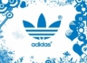 Киевское «Динамо» получит новую форму от «Adidas»